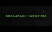泰迪幼犬多久能开始走路3个关键期与科学引导指南
