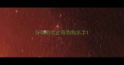 好听的哈士奇狗狗名字