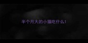 半个月大的小猫吃什么