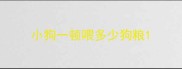 小狗一顿喂多少狗粮