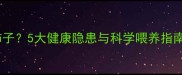 哈士奇能不能吃柿子5大健康隐患与科学喂养指南附急救方案