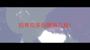拉布拉多后腿有几趾