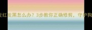 拉布拉多指甲发红发黑怎么办3步教你正确修剪守护狗狗健康爪爪