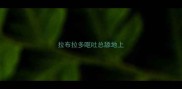 拉布拉多呕吐总舔地上