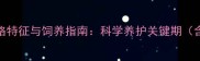 三个月泰迪犬的性格特征与饲养指南科学养护关键期含发育全周期数据