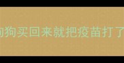 狗狗买回来就把疫苗打了