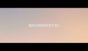 猫咪拉稀精神很不好