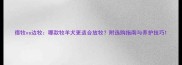 德牧vs边牧哪款牧羊犬更适合放牧附选购指南与养护技巧