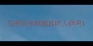 拉布拉多咳嗽能吃人药吗