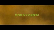 拉布拉多犬犬舍微博