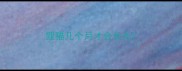 狸猫几个月才会长大