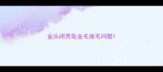 金头闭壳龟金毛被毛问题