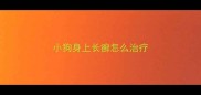 小狗身上长癣怎么治疗
