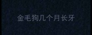 金毛狗几个月长牙