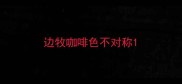 边牧咖啡色不对称