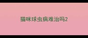 猫咪球虫病难治吗