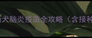 犬脑炎疫苗怎么打最新犬脑炎疫苗全攻略含接种流程副作用及价格