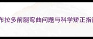 拉布拉多前腿弯曲问题与科学矫正指南