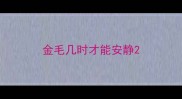金毛几时才能安静