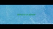 猫咪疫苗怎么看真假