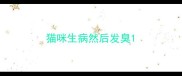 猫咪生病然后发臭