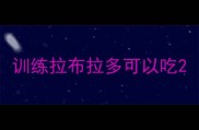 训练拉布拉多可以吃