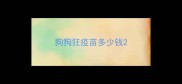 狗狗狂疫苗多少钱