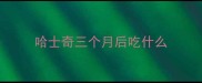 哈士奇三个月后吃什么