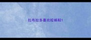 拉布拉多喜欢咬裤鞋
