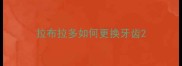 拉布拉多如何更换牙齿