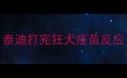 泰迪打完狂犬疫苗反应