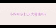 小狗可以打庆大霉素吗