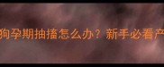 紧急处理指南狗狗孕期抽搐怎么办新手必看产前急救全攻略