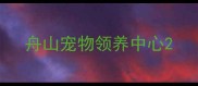 舟山宠物领养中心
