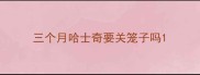 三个月哈士奇要关笼子吗
