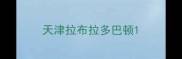 天津拉布拉多巴顿