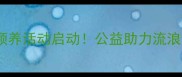乌鲁木齐金毛犬免费领养活动启动公益助力流浪动物传递温暖的家
