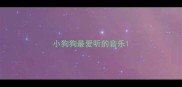 小狗狗最爱听的音乐