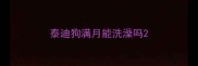 泰迪狗满月能洗澡吗