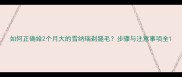 如何正确给2个月大的雪纳瑞剃腿毛步骤与注意事项全