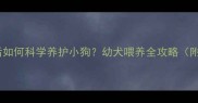 母狗离世后如何科学养护小狗幼犬喂养全攻略附真实案例