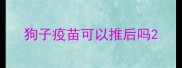 狗子疫苗可以推后吗