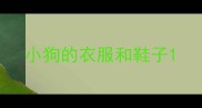 小狗的衣服和鞋子