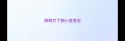 狗狗打了细小疫苗后