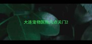 大连宠物医院几点关门