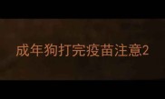 成年狗打完疫苗注意