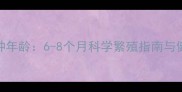 母暹罗最佳配种年龄6-8个月科学繁殖指南与健康管理全攻略