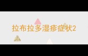 拉布拉多湿疹症状