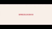 宠物疫苗证后面的话