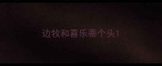 边牧和喜乐蒂个头